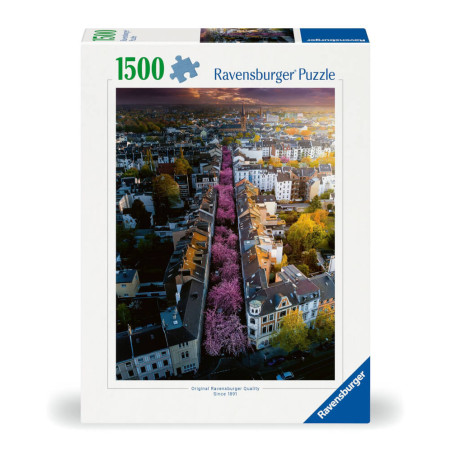 Puzzle - Blühendes Bonn 1500 Teile