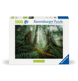 Puzzle - Faszinierender Wald 1000 Teile