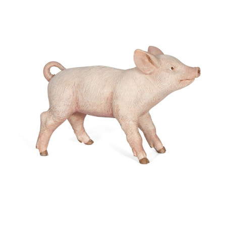 Weibliches Ferkel