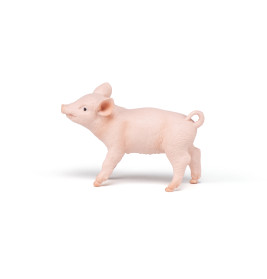 Weibliches Ferkel