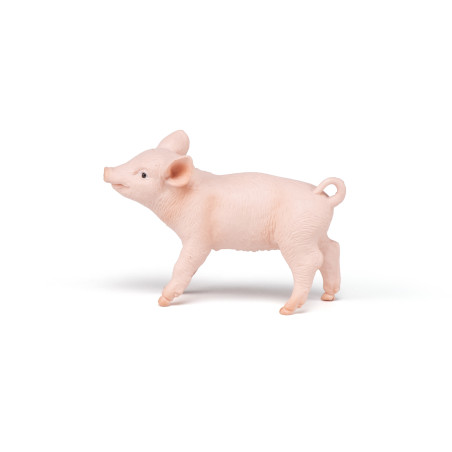 Weibliches Ferkel