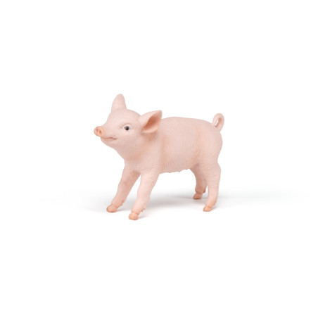 Weibliches Ferkel