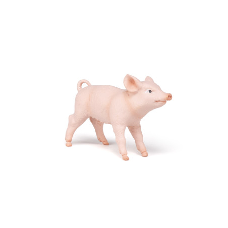 Weibliches Ferkel