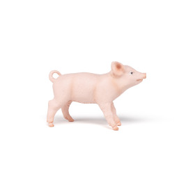 Weibliches Ferkel