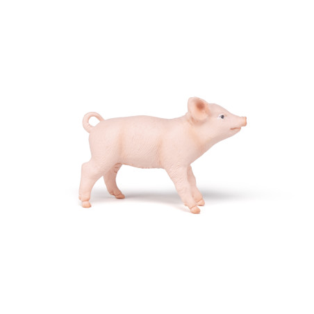 Weibliches Ferkel