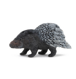 Stachelschwein