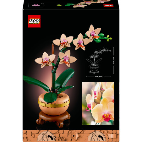 LGO Botanical Mini-Orchidee
