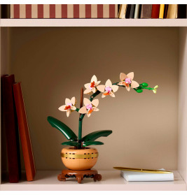LGO Botanical Mini-Orchidee