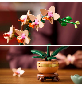 LGO Botanical Mini-Orchidee