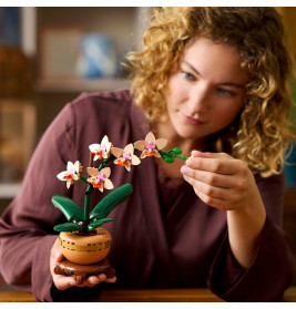 LGO Botanical Mini-Orchidee