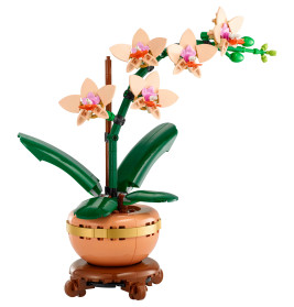 LGO Botanical Mini-Orchidee