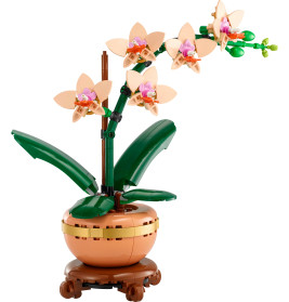 LGO Botanical Mini-Orchidee