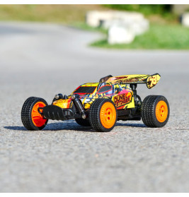 RC Dune Stinger, RTR