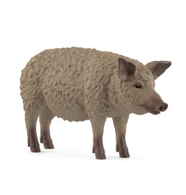 Wollschwein