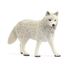 Polarwolf
