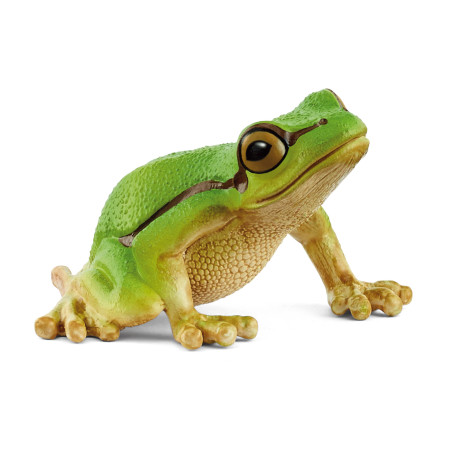 Europaeischer Laubfrosch