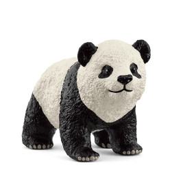 Grosser Panda Junges
