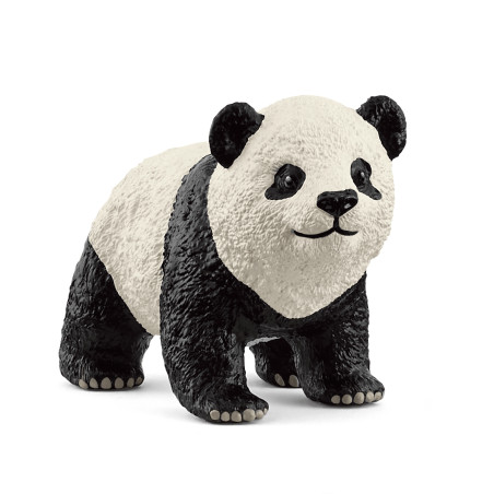 Grosser Panda Junges