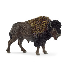 Bison