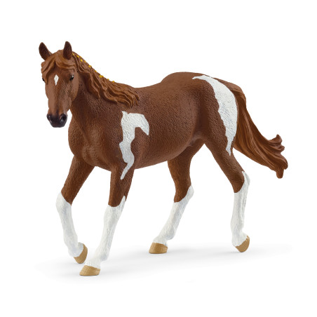 Paint Horse Stute