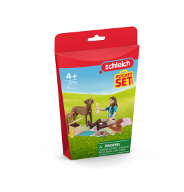 Mini-Playset Picknick mit Lisa