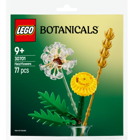 LEGO Botanicals 30701 Feldblumen