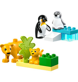 LEGO DUPLO Town 10442 Wildtier-Familien: Pinguine und Löwen