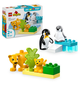 LEGO DUPLO Town 10442 Wildtier-Familien: Pinguine und Löwen