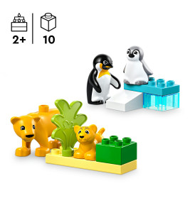 LEGO DUPLO Town 10442 Wildtier-Familien: Pinguine und Löwen