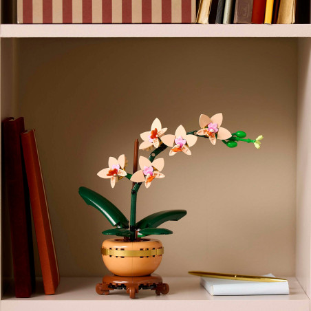 LEGO Botanicals 10343 Mini-Orchidee