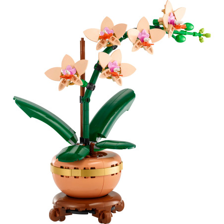 LEGO Botanicals 10343 Mini-Orchidee