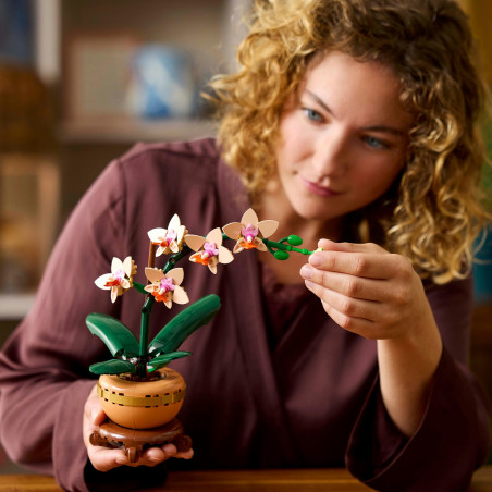 LEGO Botanicals 10343 Mini-Orchidee