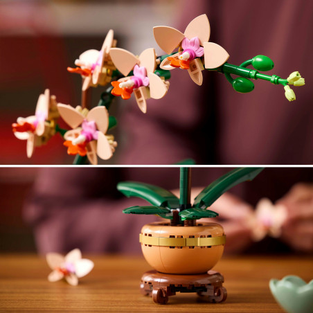 LEGO Botanicals 10343 Mini-Orchidee