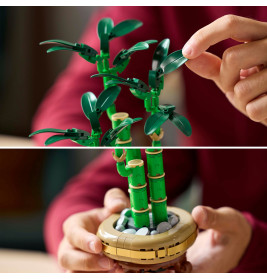 LEGO Botanicals 10344 Glücks-Bambus