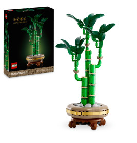 LEGO Botanicals 10344 Glücks-Bambus