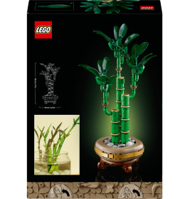LEGO Botanicals 10344 Glücks-Bambus