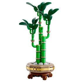 LEGO Botanicals 10344 Glücks-Bambus