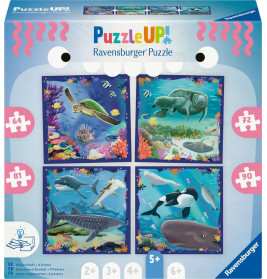 Vier bunte Ravensburger Ozean-Puzzles mit Meerestieren in einzelnen Schachteln.