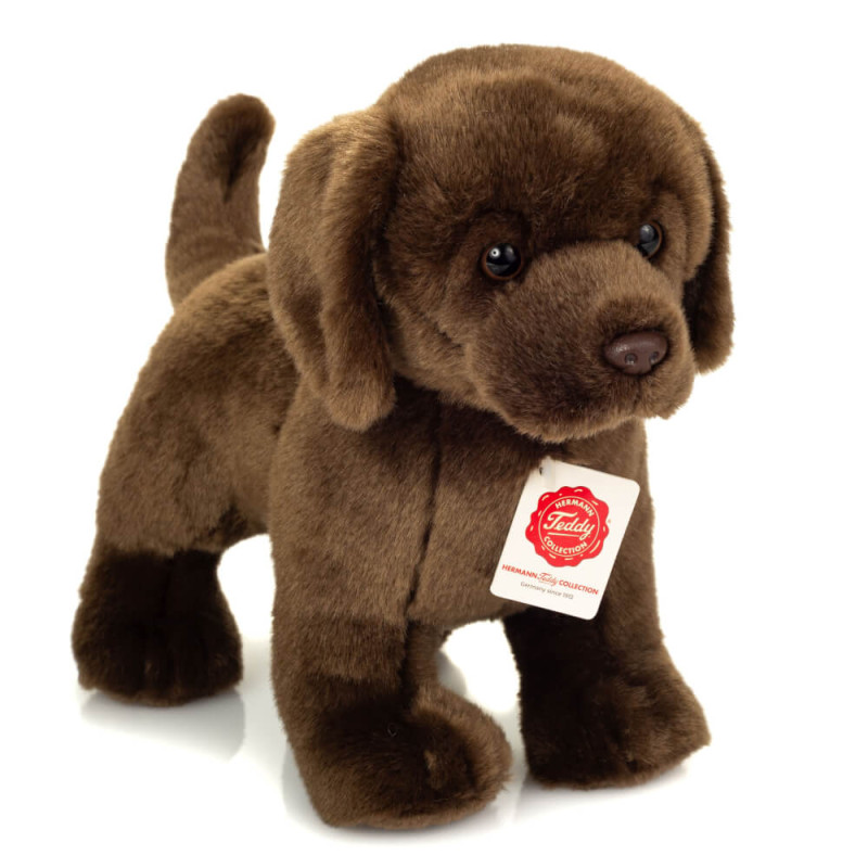 Labrador braun stehend 30 cm