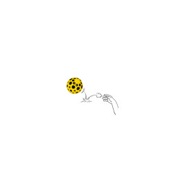 Astro-Ball - Wild+Cool, sortiert