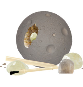 Edelstein-Ausgrabungsset Planet - Wild+Cool