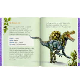 T-Rex World (Leseanfänger, Bd.4) - Gefahr