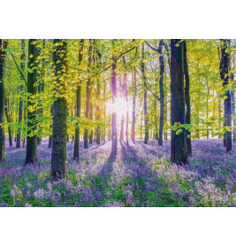 Zarte Glockenblumen im Wald, Puzzle 1.000 Teile