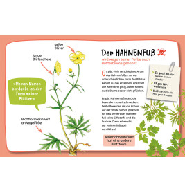 Mein 1. Naturführer Was blüht denn da?