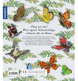 Flieg mit uns! Schmetterlinge