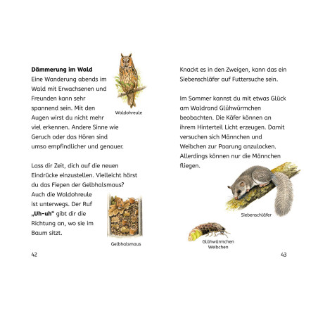 Bücherhelden 2.Kl. Naturrätsel Wald