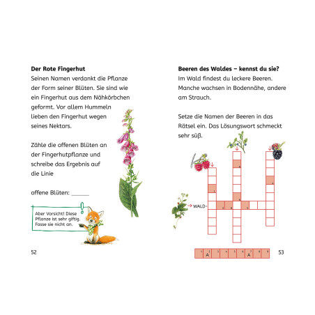 Bücherhelden 2.Kl. Naturrätsel Wald