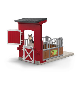 Ponybox mit Mustang Stute