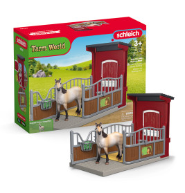 Ponybox mit Mustang Stute