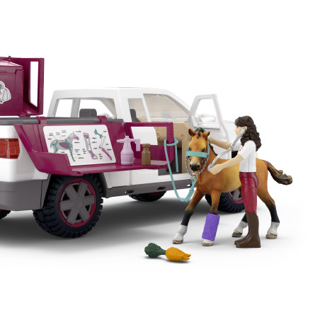 Mobile Tieraerztin mit Anhänger